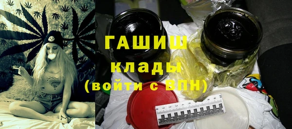 прущие грибы Абаза