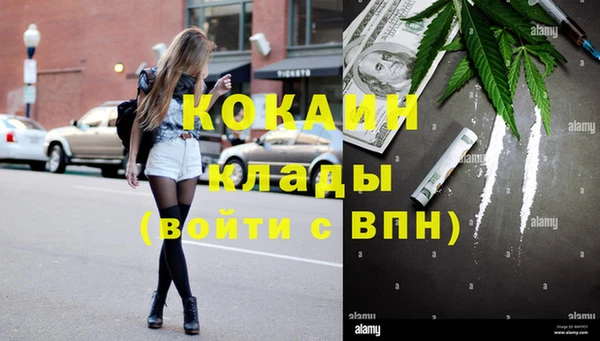 прущие грибы Абаза