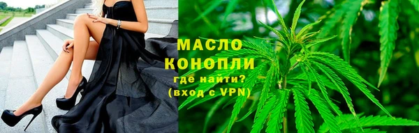 прущие грибы Абаза