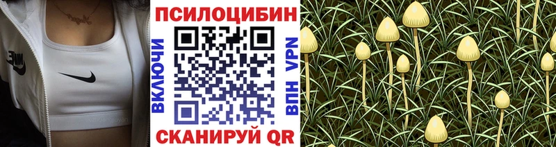 Псилоцибиновые грибы Psilocybine cubensis  МЕГА   Задонск 
